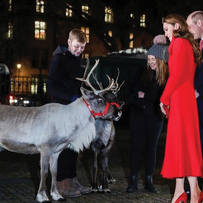 Nationwide Reindeer for Hire - Christmas Events