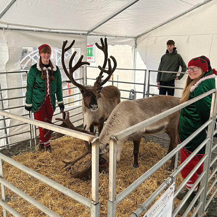 Nationwide Reindeer for Hire - Christmas Events