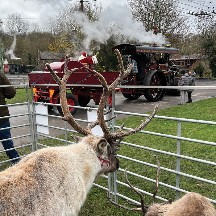 Nationwide Reindeer for Hire - Christmas Events